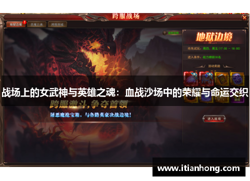 战场上的女武神与英雄之魂：血战沙场中的荣耀与命运交织